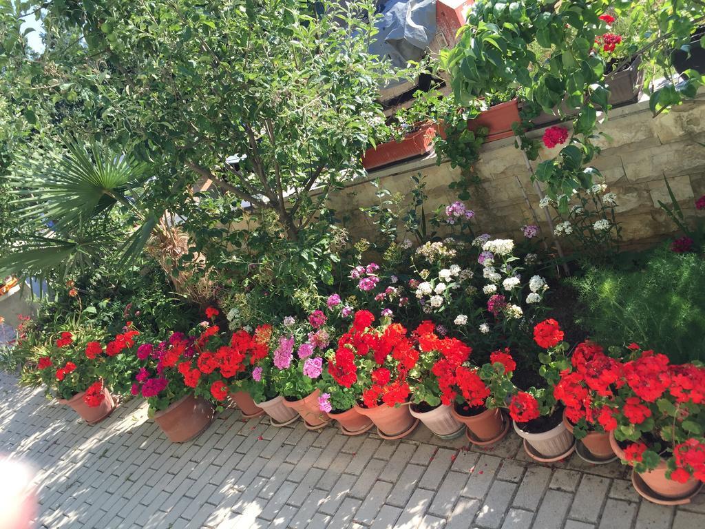 Zajim Apartment Umag Værelse billede
